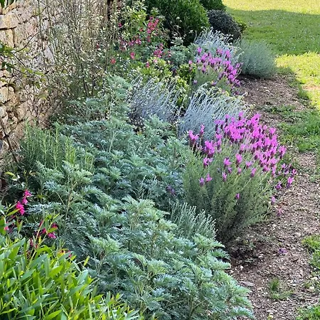 Les Maisons D'antan 5 Etoiles *