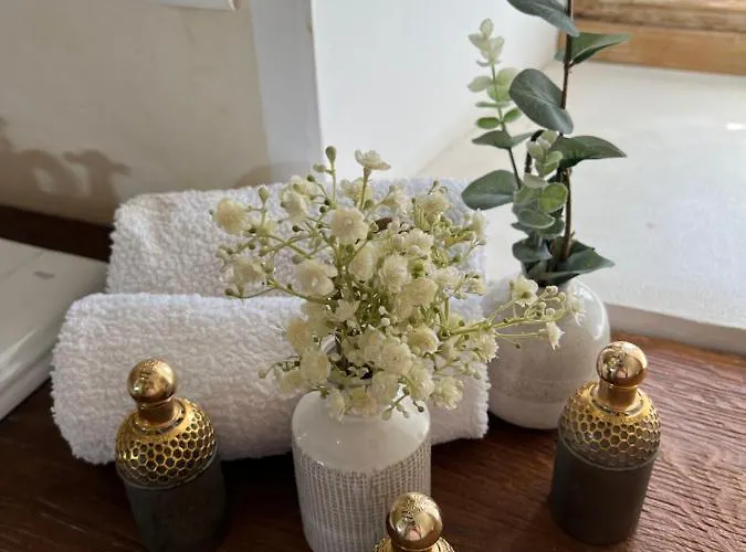 فيلة Les Maisons D'antan 5 Etoiles Saint-Genies