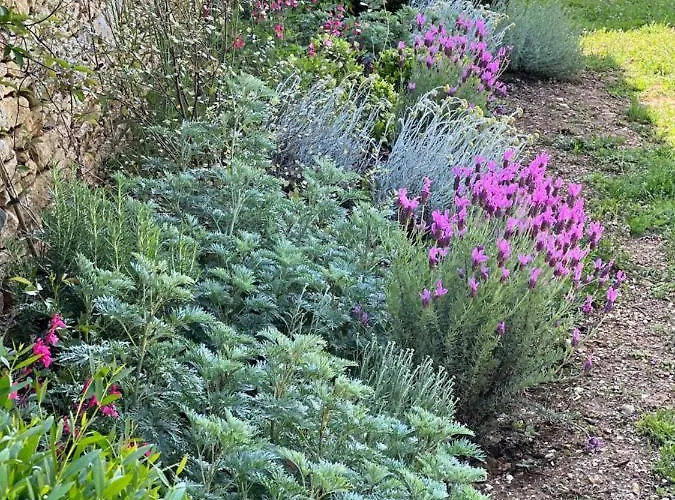 Les Maisons D'antan 5 Etoiles *